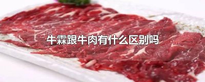 ​牛霖跟牛肉有什么区别吗