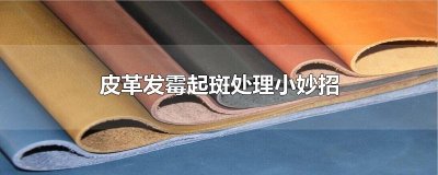 ​皮革发霉起斑处理小妙招