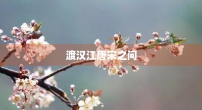 ​渡汉江唐宋之问(渡汉江唐宋之问诗)