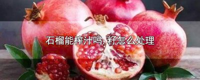 ​石榴能榨汁吗,籽怎么处理