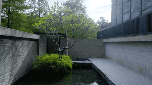 萧敬腾为什么会被称为雨神（萧敬腾努力的33年）(20)
