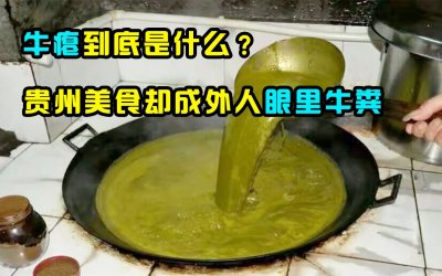 ​牛瘪是什么东西（牛瘪的作用与功效）