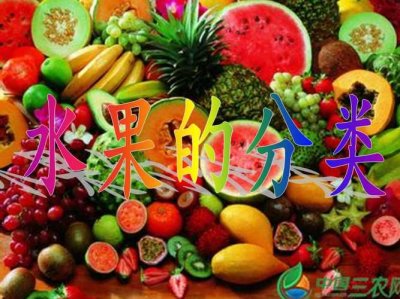 ​水果分类几大类（水果主要分为哪几大类）