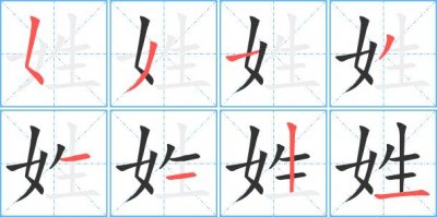 ​姓的笔顺是什么（姓的意思）