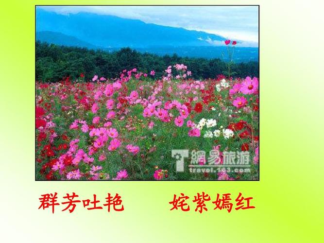 群芳吐艳是什么意思（群芳吐艳的解释）