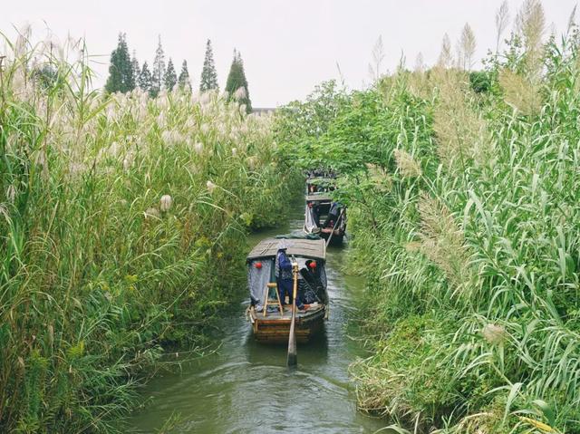 附近的旅游景点（城市周边这些好去处）(16)
