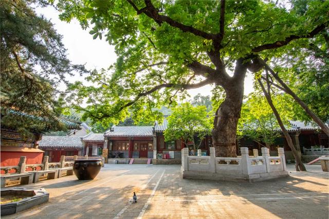 附近的旅游景点（城市周边这些好去处）(5)