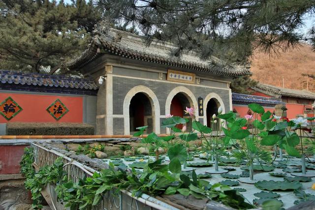 附近的旅游景点（城市周边这些好去处）(3)