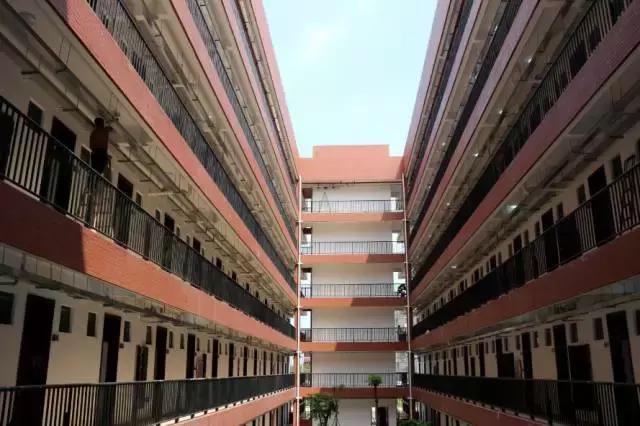 佛山市科学技术学院官网（佛山科学技术学院）(12)