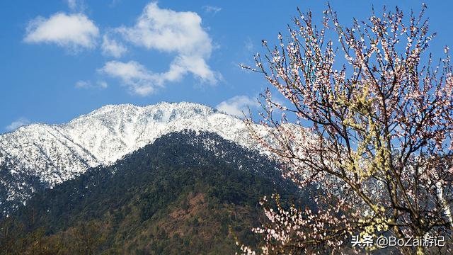 怒江州旅游景点排名前十（到云南怒江旅游必去的11大景点）(28)