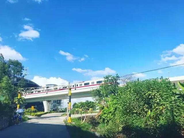 广州周边亲子游玩景点推荐一日游（广州这14个亲子出游秘境）(14)