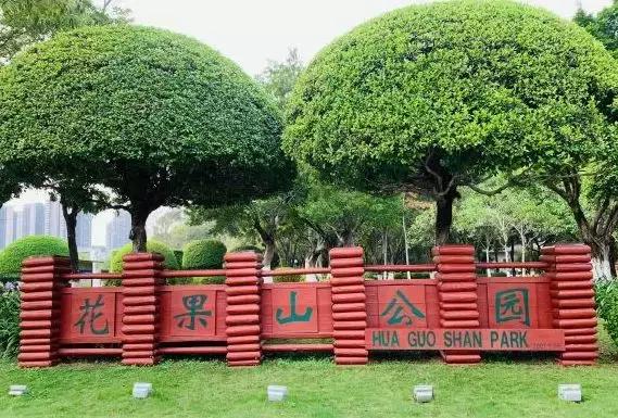 广州周边亲子游玩景点推荐一日游（广州这14个亲子出游秘境）(22)