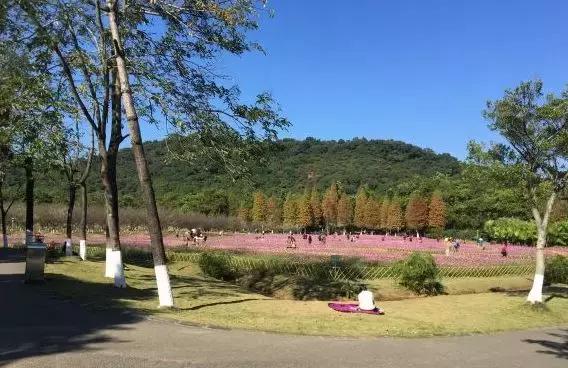 广州周边亲子游玩景点推荐一日游（广州这14个亲子出游秘境）(52)