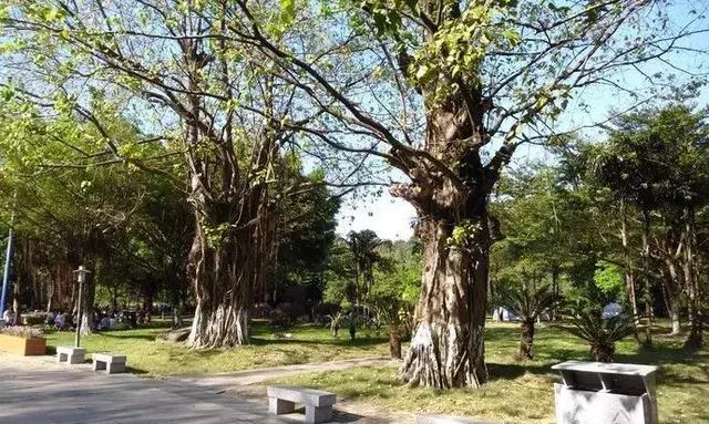 广州周边亲子游玩景点推荐一日游（广州这14个亲子出游秘境）(51)