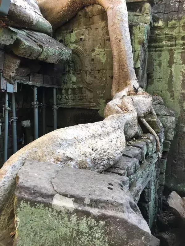 柬埔寨旅游攻略（柬埔寨王国）(33)