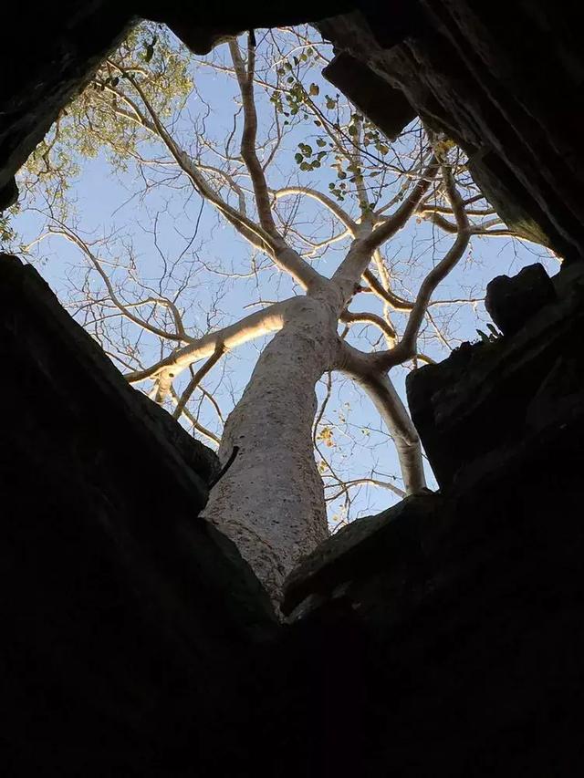 柬埔寨旅游攻略（柬埔寨王国）(31)