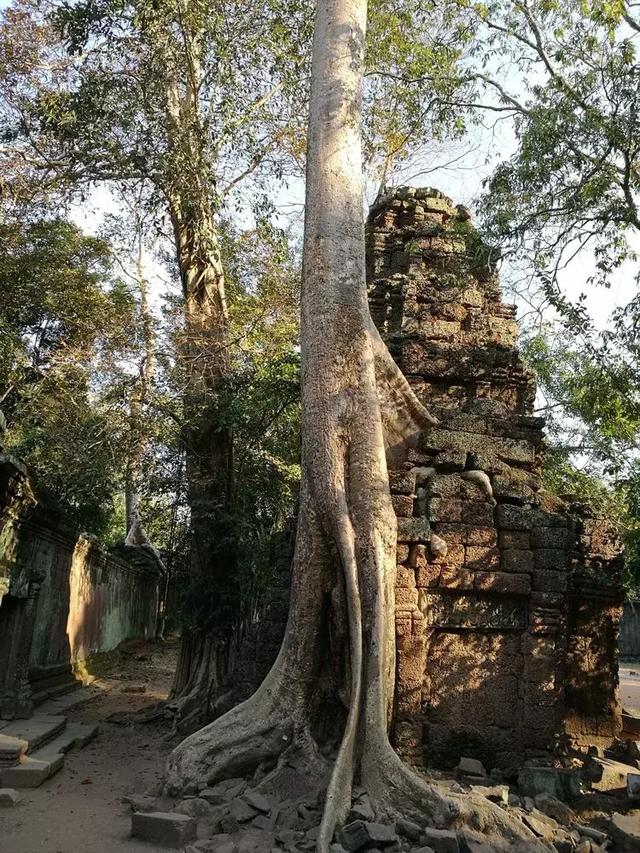 柬埔寨旅游攻略（柬埔寨王国）(37)