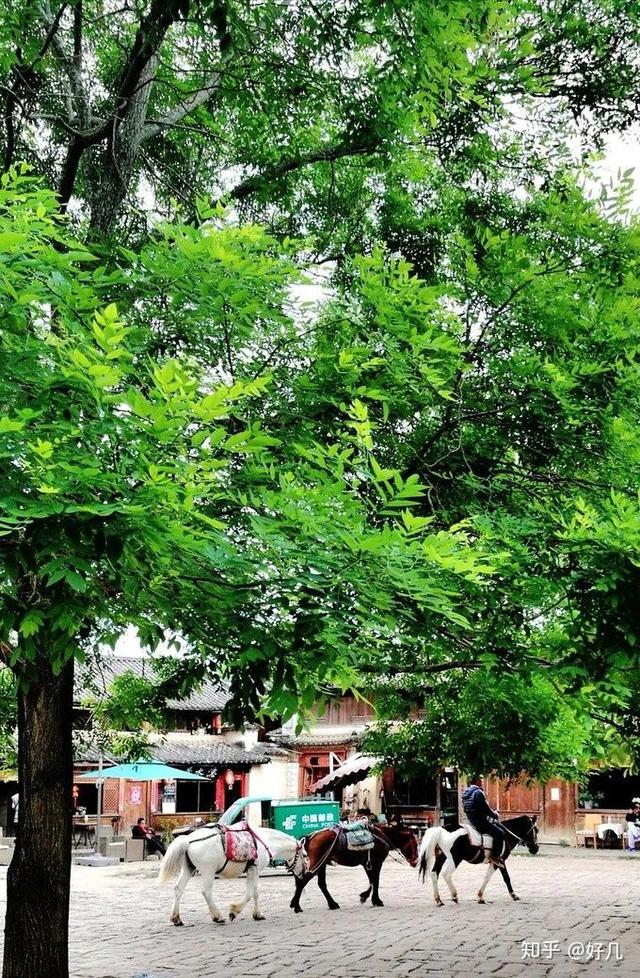 丽江旅游自由行攻略及花费（丽江旅游怎么玩看这篇攻略就够了）(30)