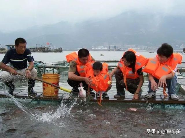 连云港旅游最全攻略（连云港连岛藏着一处小渔村）(14)