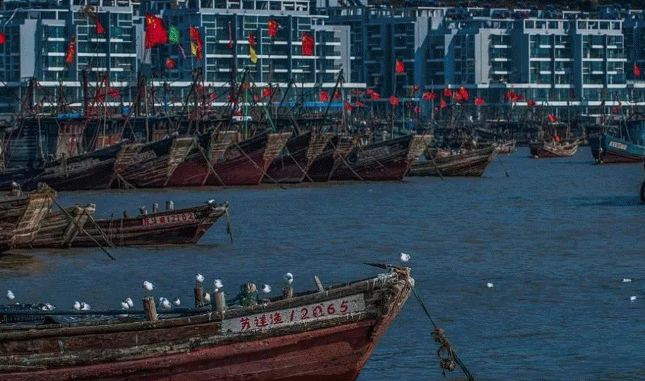 连云港旅游最全攻略（连云港连岛藏着一处小渔村）(21)