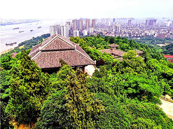 鄂州并入武汉的进展情况（鄂州市并入武汉市可能性有多大）(4)