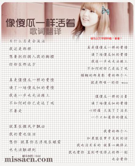 像傻瓜一样去爱歌词（像傻瓜一样去爱歌词是什么）