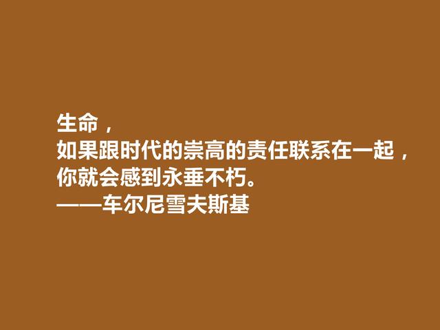 柴可夫斯基创作了多少作品（俄国哲学家和作家）(10)