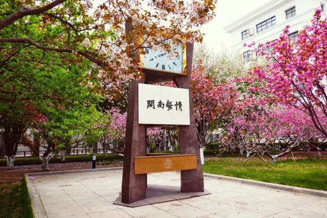天津市津南区南开第二中学（天津市普通高级中学）(18)