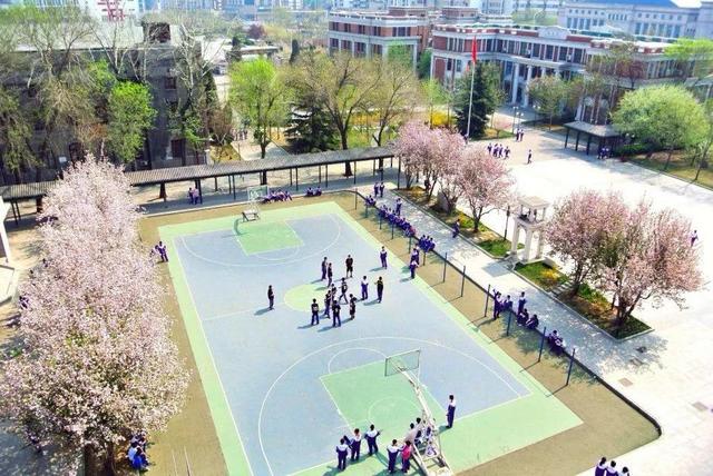 天津市津南区南开第二中学（天津市普通高级中学）(30)