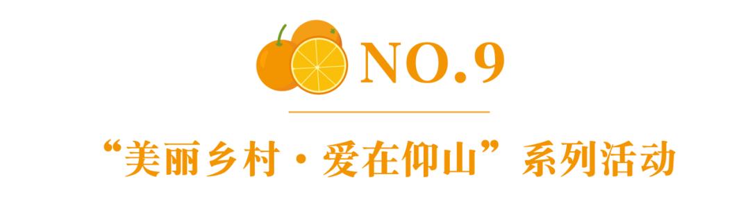 赣州脐橙采摘旅游季（秋天快来采摘赣南脐橙）(20)