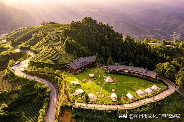 柳州旅游攻略必去景点推荐一日游（秋游柳州国庆不必远行）(24)