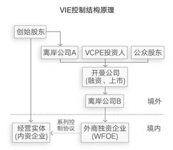 ​为什么会有vie（终于有人把VIE讲明白了）