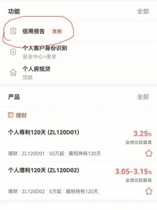 ​个人信用报告网上怎么查（每个区县都可自助查询个人信用报告了）