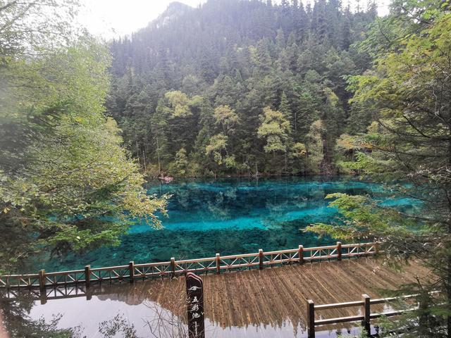 九寨沟旅游路线安排（九寨沟三条旅游路线介绍）(7)