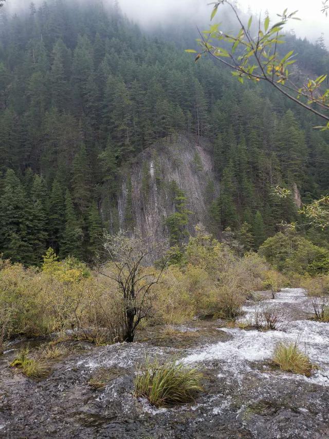 九寨沟旅游路线安排（九寨沟三条旅游路线介绍）(8)