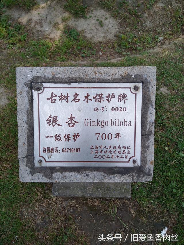上海七宝古镇有几个景点（上海的千年古镇七宝）(19)