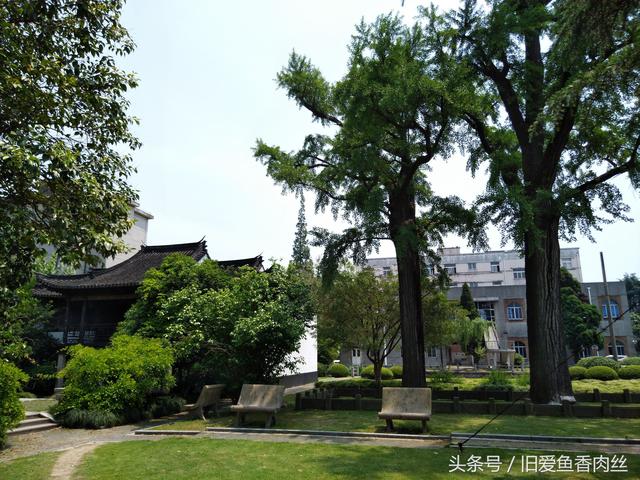 上海七宝古镇有几个景点（上海的千年古镇七宝）(18)