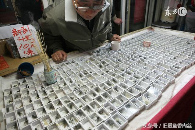 上海七宝古镇有几个景点（上海的千年古镇七宝）(6)