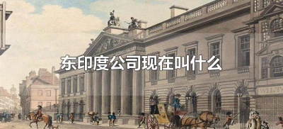 ​东印度公司现在叫什么（东印度公司现在叫什么名称?他都经营哪些项目?）