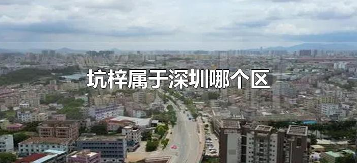 坑梓属于深圳哪个区
