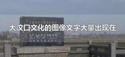 ​大汶口文化的图像文字大量出现在哪里（大汶口文化的图像文字大量出现在什么地