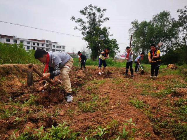 江西赣州市有名的学校（赣州这21所学校入选）(3)