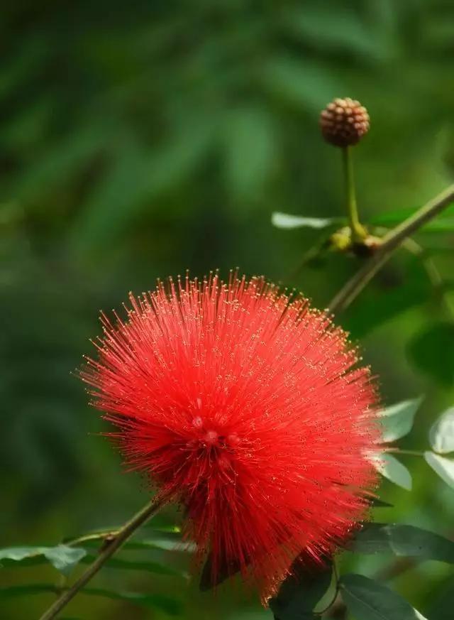 愚人节 起源（节日溯源愚人节由来）(3)