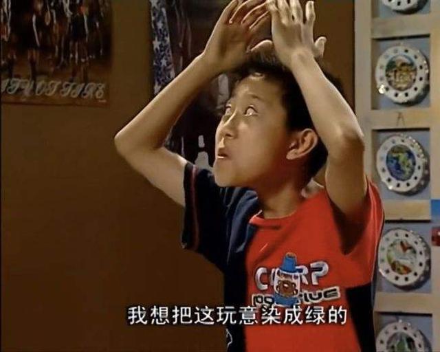 家有儿女所有的演员过得怎么样（家有儿女开播17年）(3)