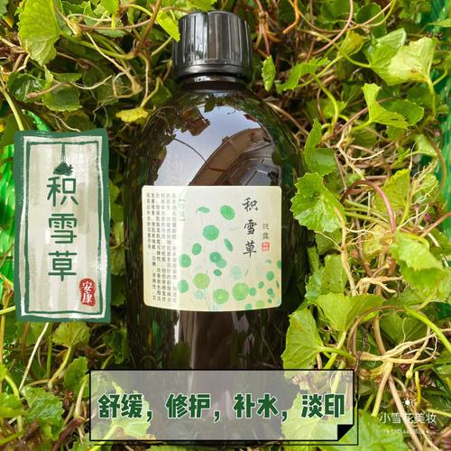 积雪草纯露的功效与作用（积雪草纯露有什么功效与作用）