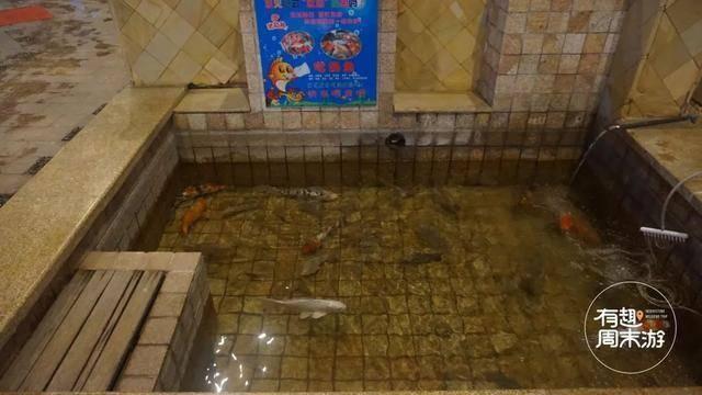 威海天沐温泉和汤泊温泉哪个好 山东温泉测评威海独家(17)