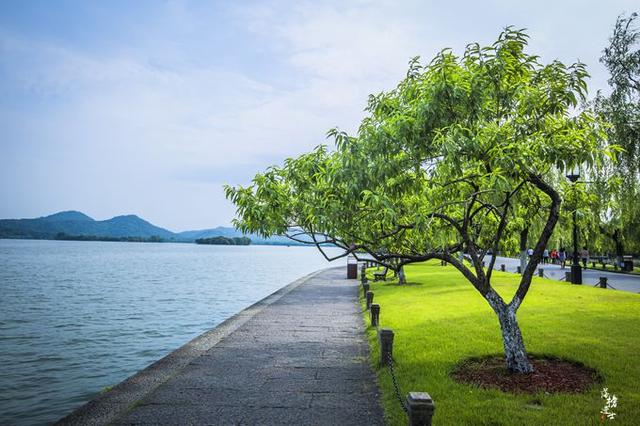 杭州自由行游记（带你去旅行杭州）(2)