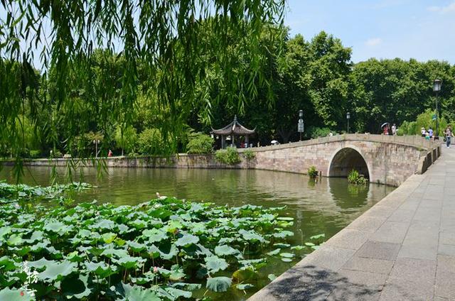 杭州自由行游记（带你去旅行杭州）(5)