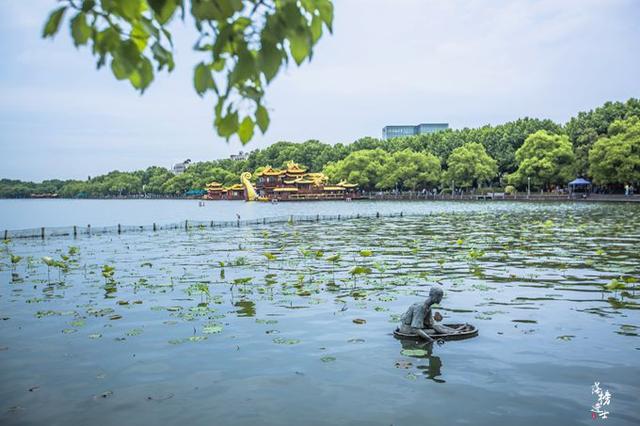 杭州自由行游记（带你去旅行杭州）(12)