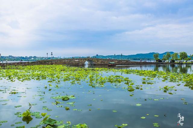 杭州自由行游记（带你去旅行杭州）(1)